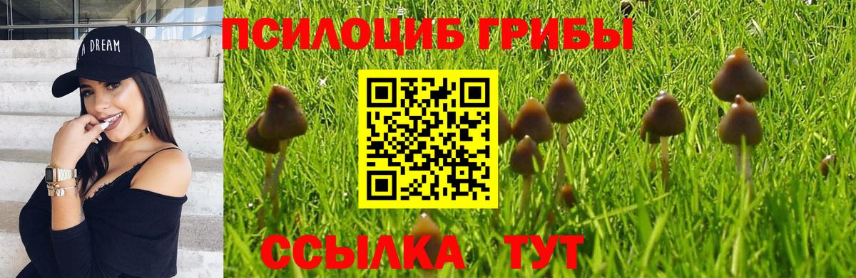 Галлюциногенные грибы Magic Shrooms  Галлюциногенные грибы Magic Shrooms  Новочеркасск  Вход с VPN 